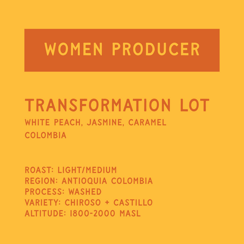 Transformation Lot