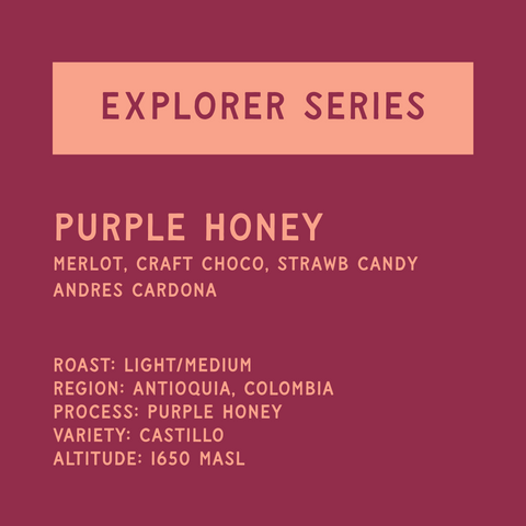 Explorer Series - Purple Honey (10oz)